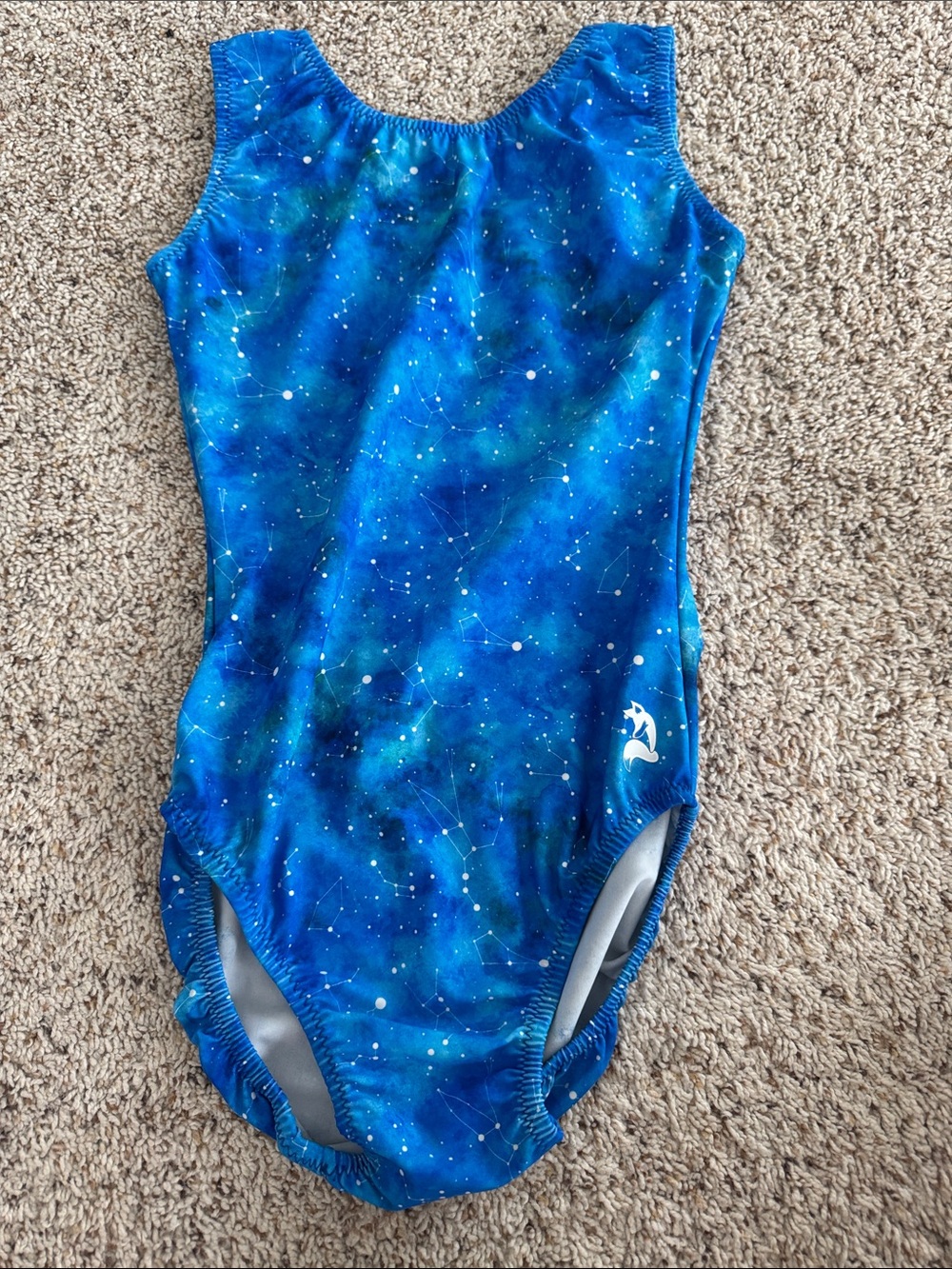 Foxy’s gymnastics Leotard